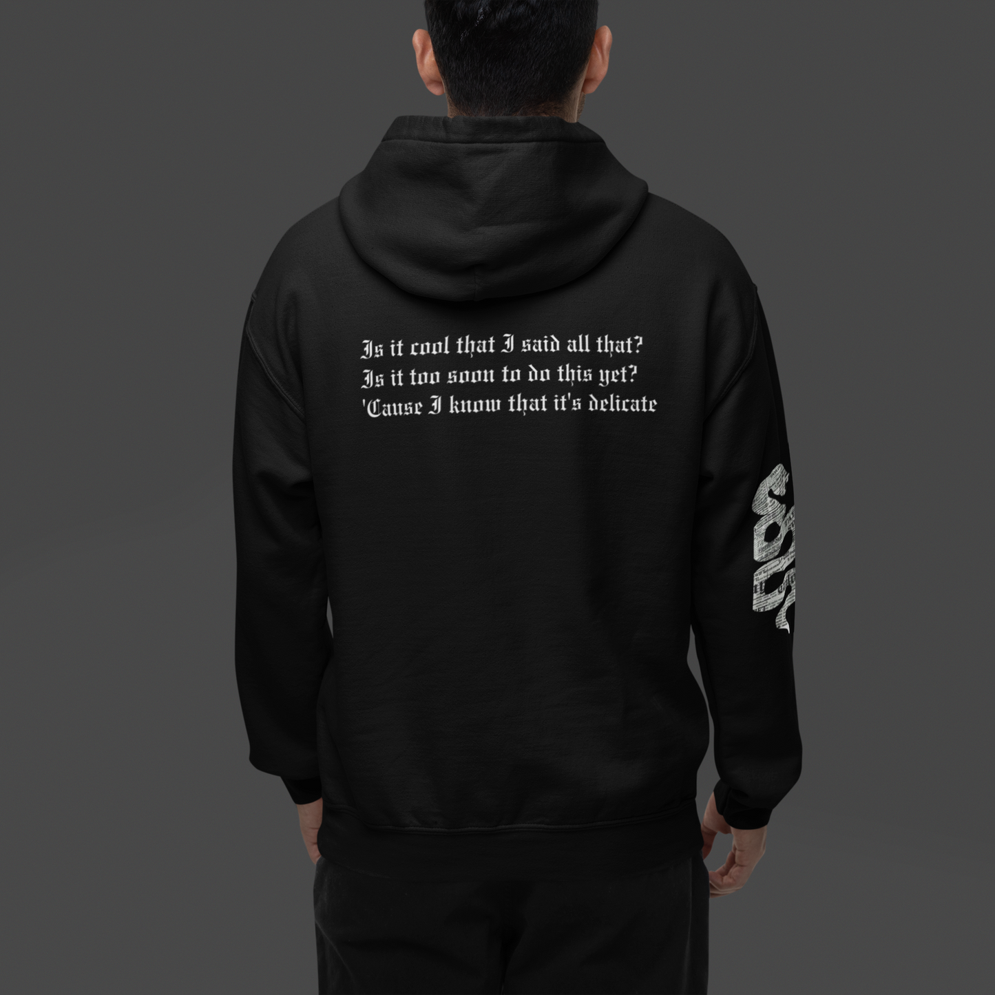 Taylor Swift's Reputation Hoodie